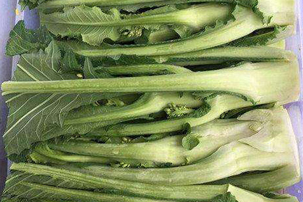丹东推荐美食广场管理公司