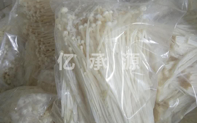金针菇半成品配送 金针菇半成品配送